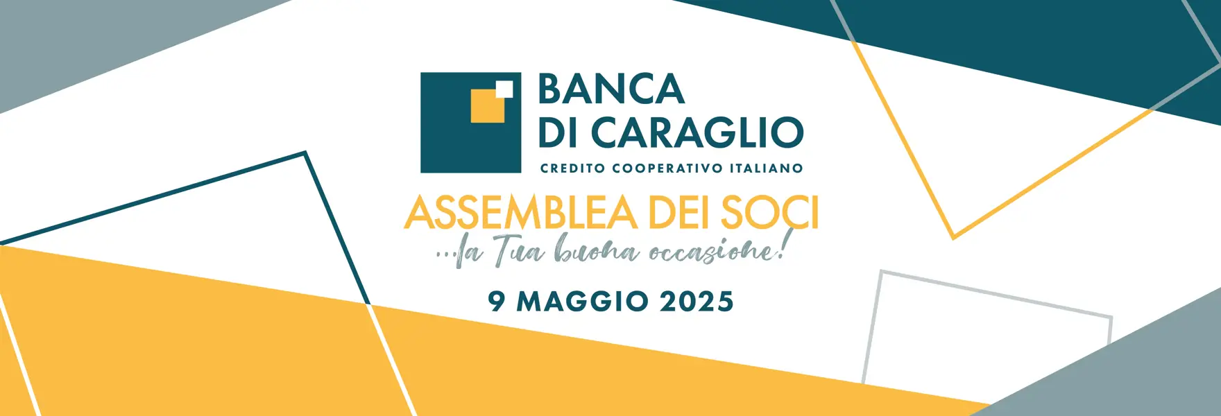 Grafica Assemblea 2025